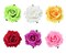 Flower Hair Clip Fabric Artificial Rose Flower Hairpin Barrette Brooch Headdress Bobby Pins Headwear Hair Accessories for wedding Party supplies(Rose Style;4.3 inches;6pcs)
